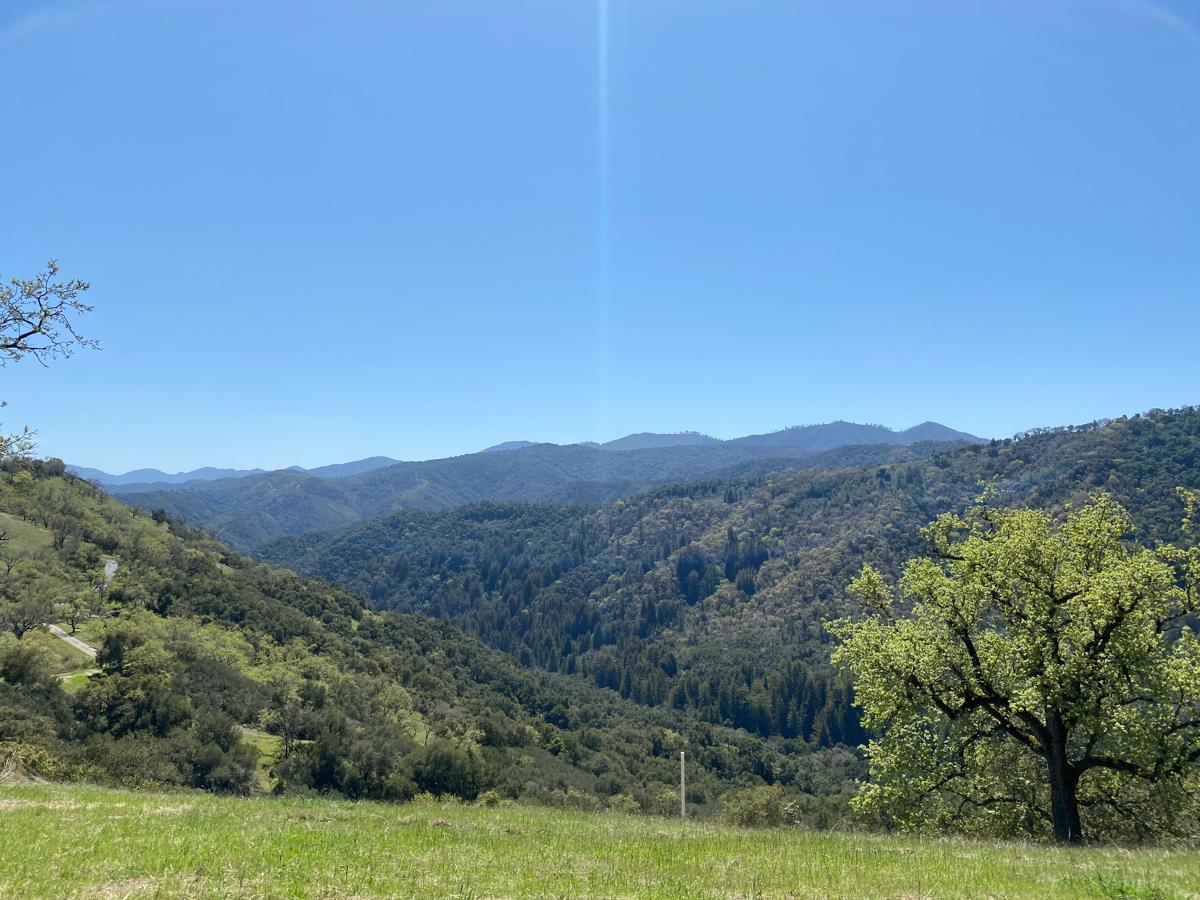 5 Long Ridge Trail, CARMEL, California 93923, ,Lots And Land,For Sale,Long Ridge Trail,40963579