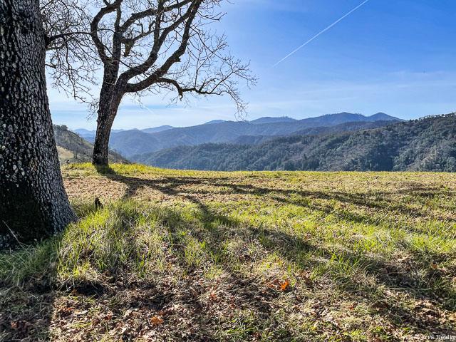 5 Long Ridge Trail, CARMEL, California 93923, ,Lots And Land,For Sale,Long Ridge Trail,40963579