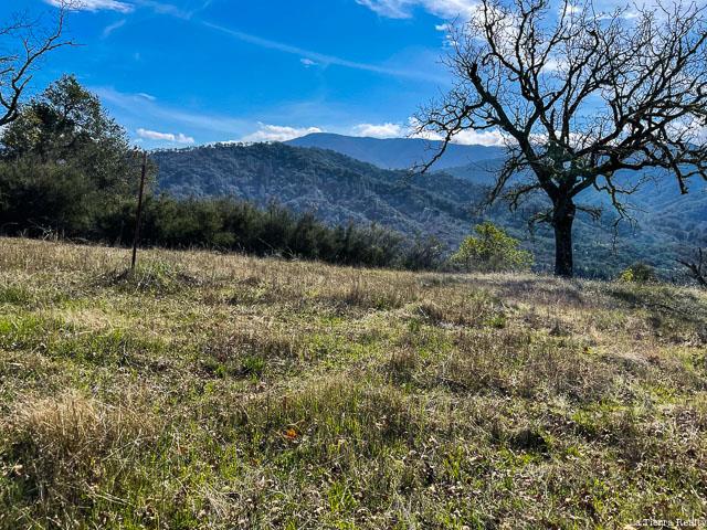 5 Long Ridge Trail, CARMEL, California 93923, ,Lots And Land,For Sale,Long Ridge Trail,40963579