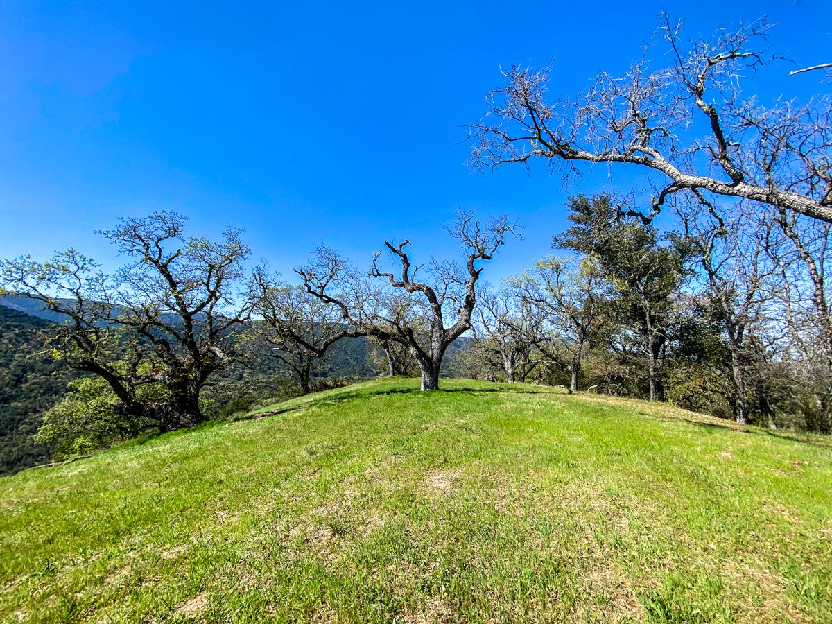 5 Long Ridge Trail, CARMEL, California 93923, ,Lots And Land,For Sale,Long Ridge Trail,40963579