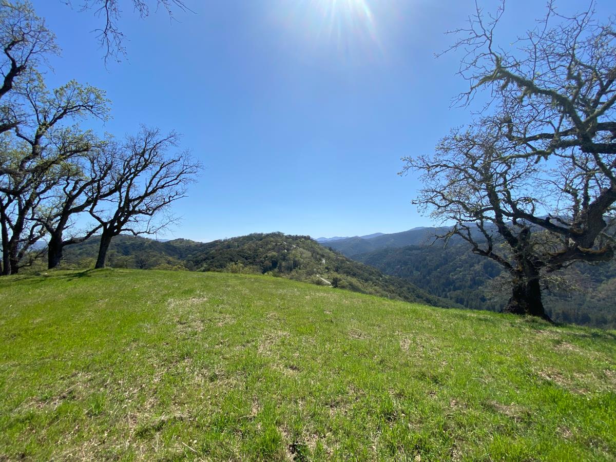 5 Long Ridge Trail, CARMEL, California 93923, ,Lots And Land,For Sale,Long Ridge Trail,40963579