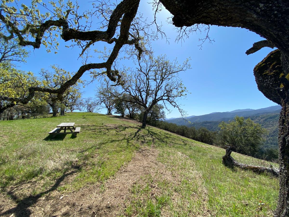 5 Long Ridge Trail, CARMEL, California 93923, ,Lots And Land,For Sale,Long Ridge Trail,40963579