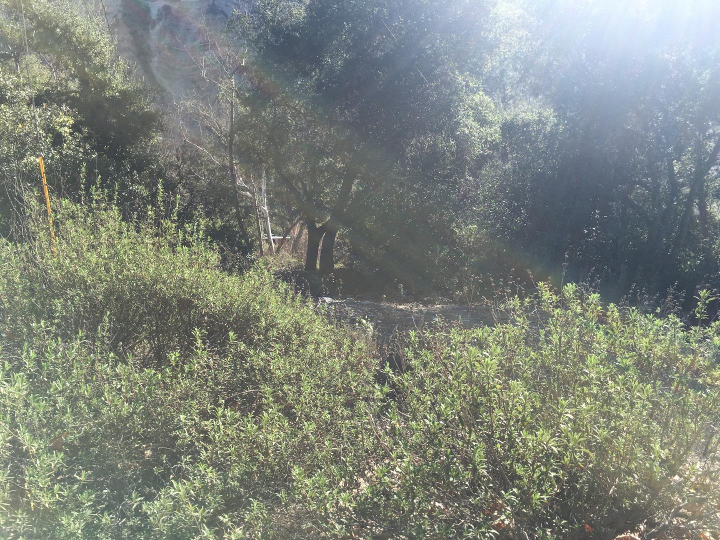 0 Sycamore Flat Road, GREENFIELD, California 93927, ,Lots And Land,For Sale,Sycamore Flat Road,40963580