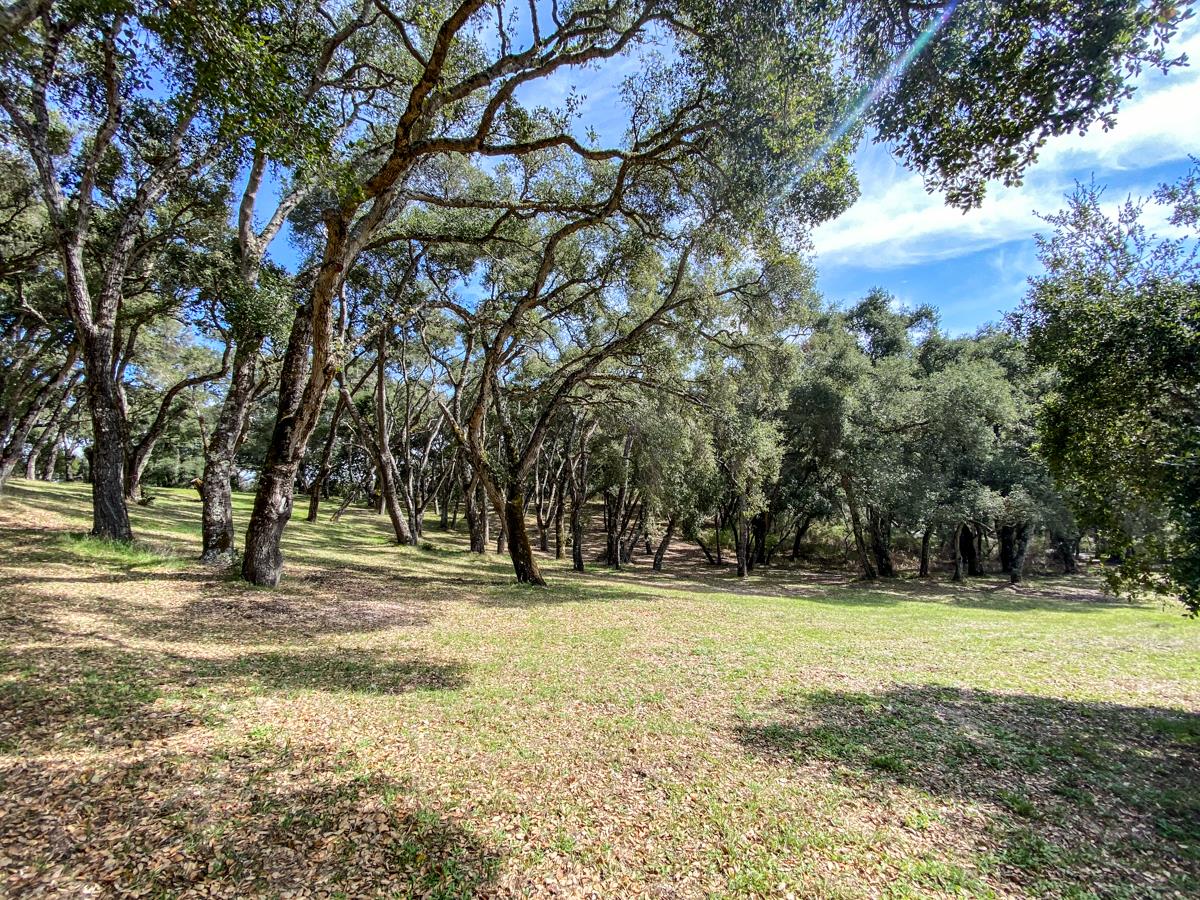 2 Arrowmaker Trace, CARMEL, California 93923, ,Lots And Land,For Sale,Arrowmaker Trace,40963614