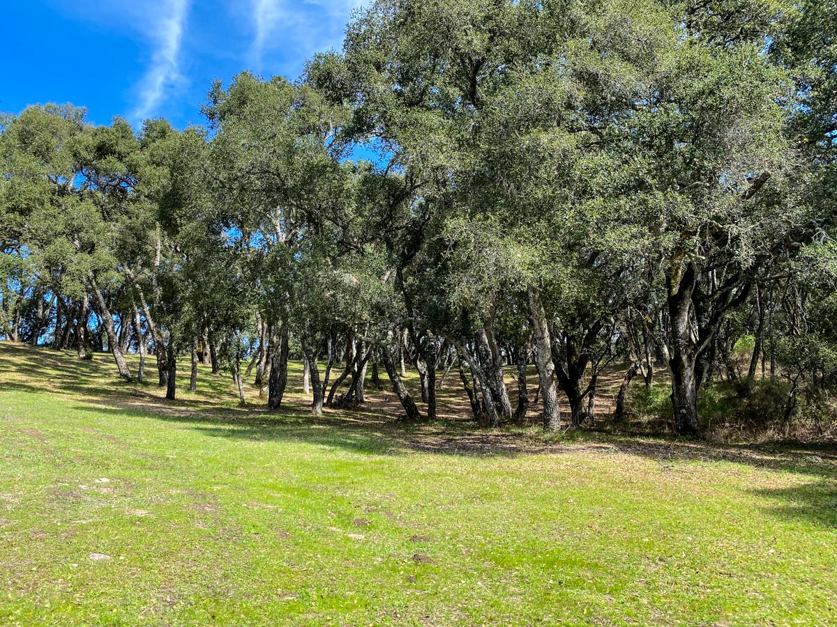 2 Arrowmaker Trace, CARMEL, California 93923, ,Lots And Land,For Sale,Arrowmaker Trace,40963614