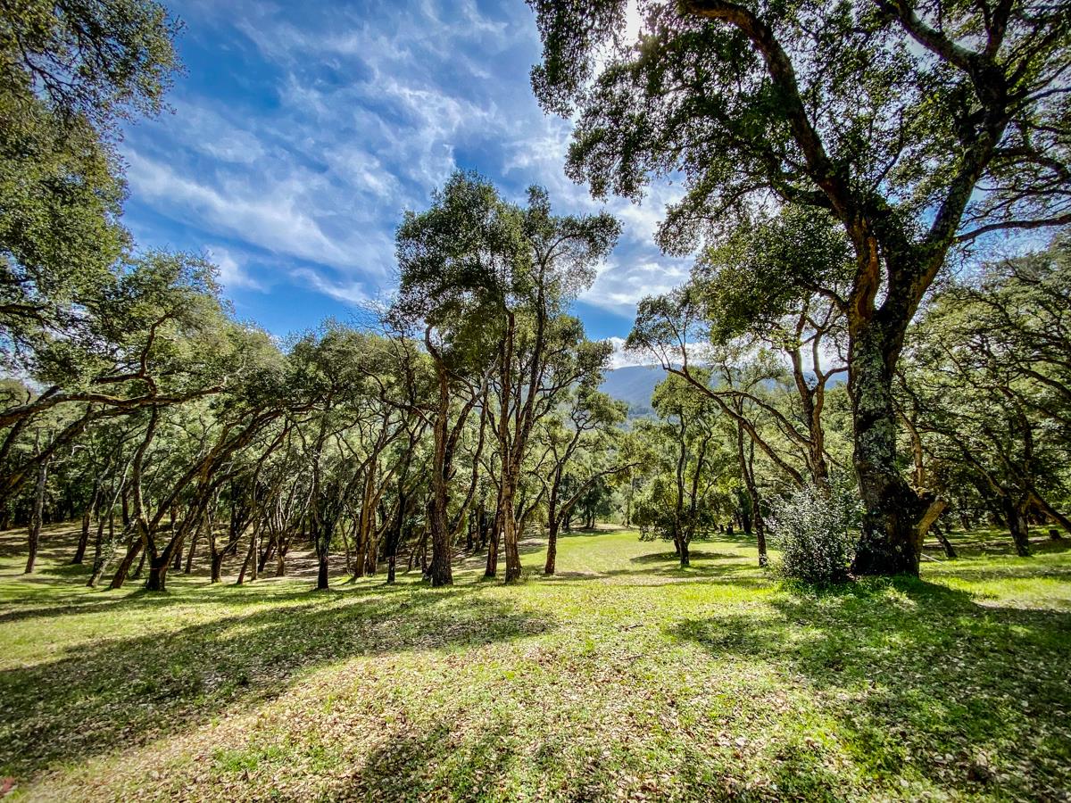 2 Arrowmaker Trace, CARMEL, California 93923, ,Lots And Land,For Sale,Arrowmaker Trace,40963614