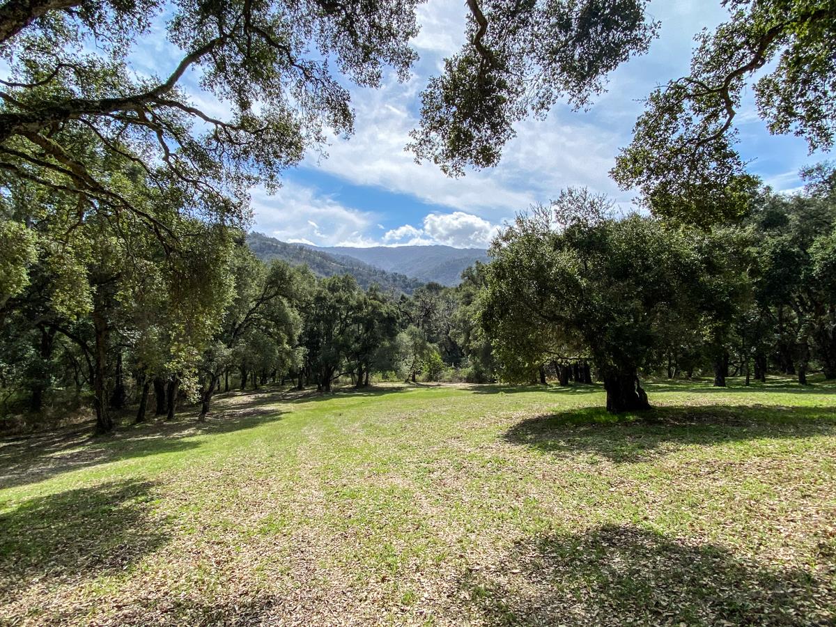 2 Arrowmaker Trace, CARMEL, California 93923, ,Lots And Land,For Sale,Arrowmaker Trace,40963614