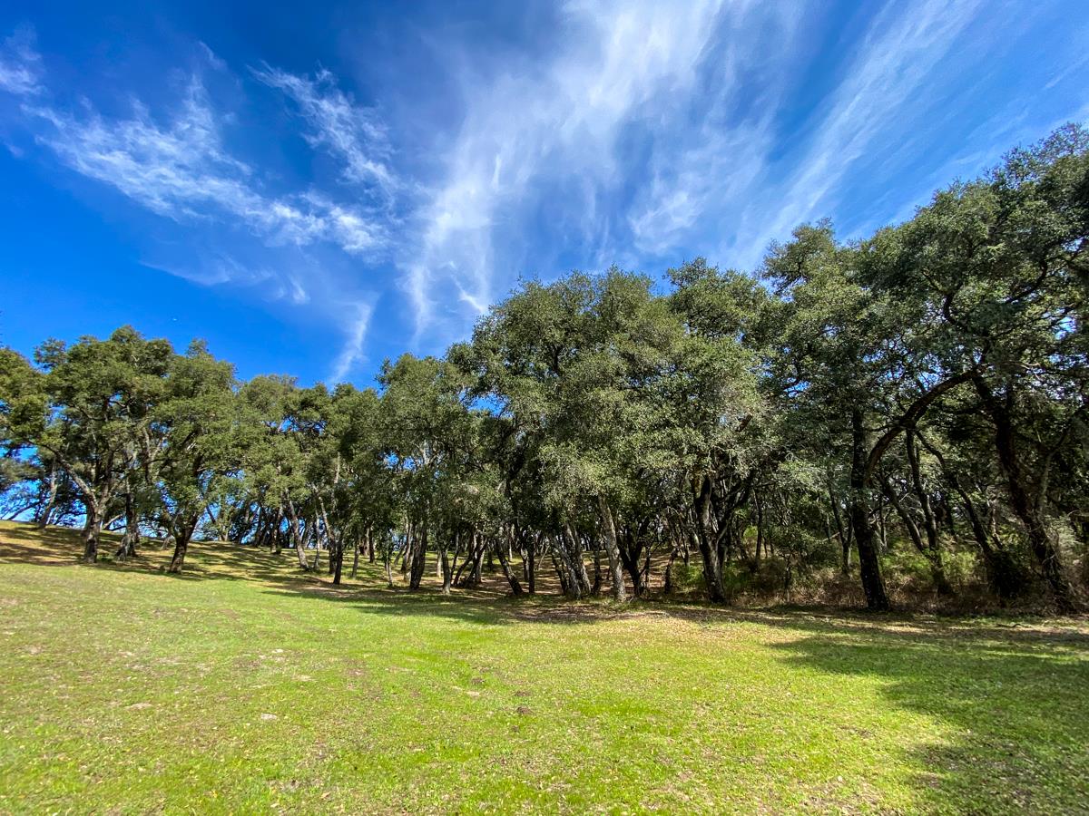 2 Arrowmaker Trace, CARMEL, California 93923, ,Lots And Land,For Sale,Arrowmaker Trace,40963614