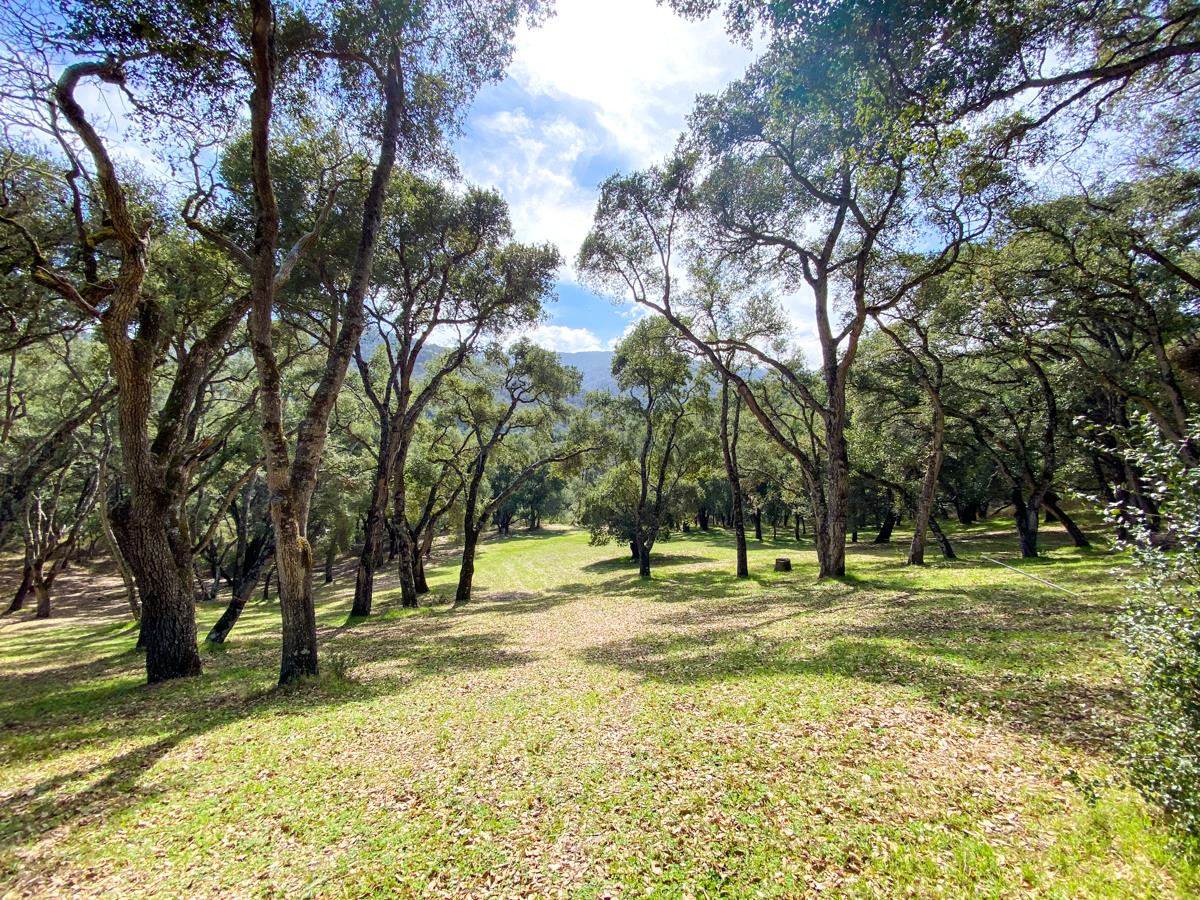 2 Arrowmaker Trace, CARMEL, California 93923, ,Lots And Land,For Sale,Arrowmaker Trace,40963614