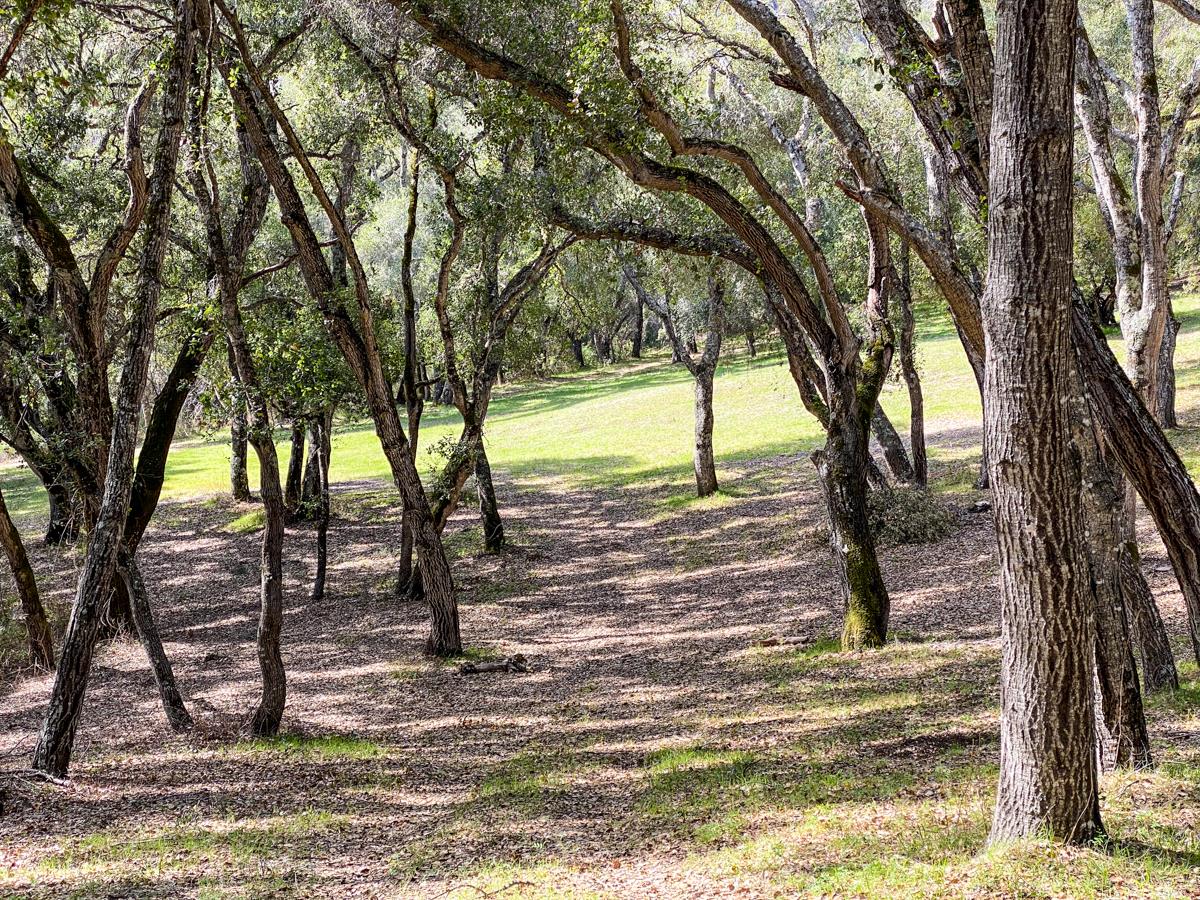 2 Arrowmaker Trace, CARMEL, California 93923, ,Lots And Land,For Sale,Arrowmaker Trace,40963614