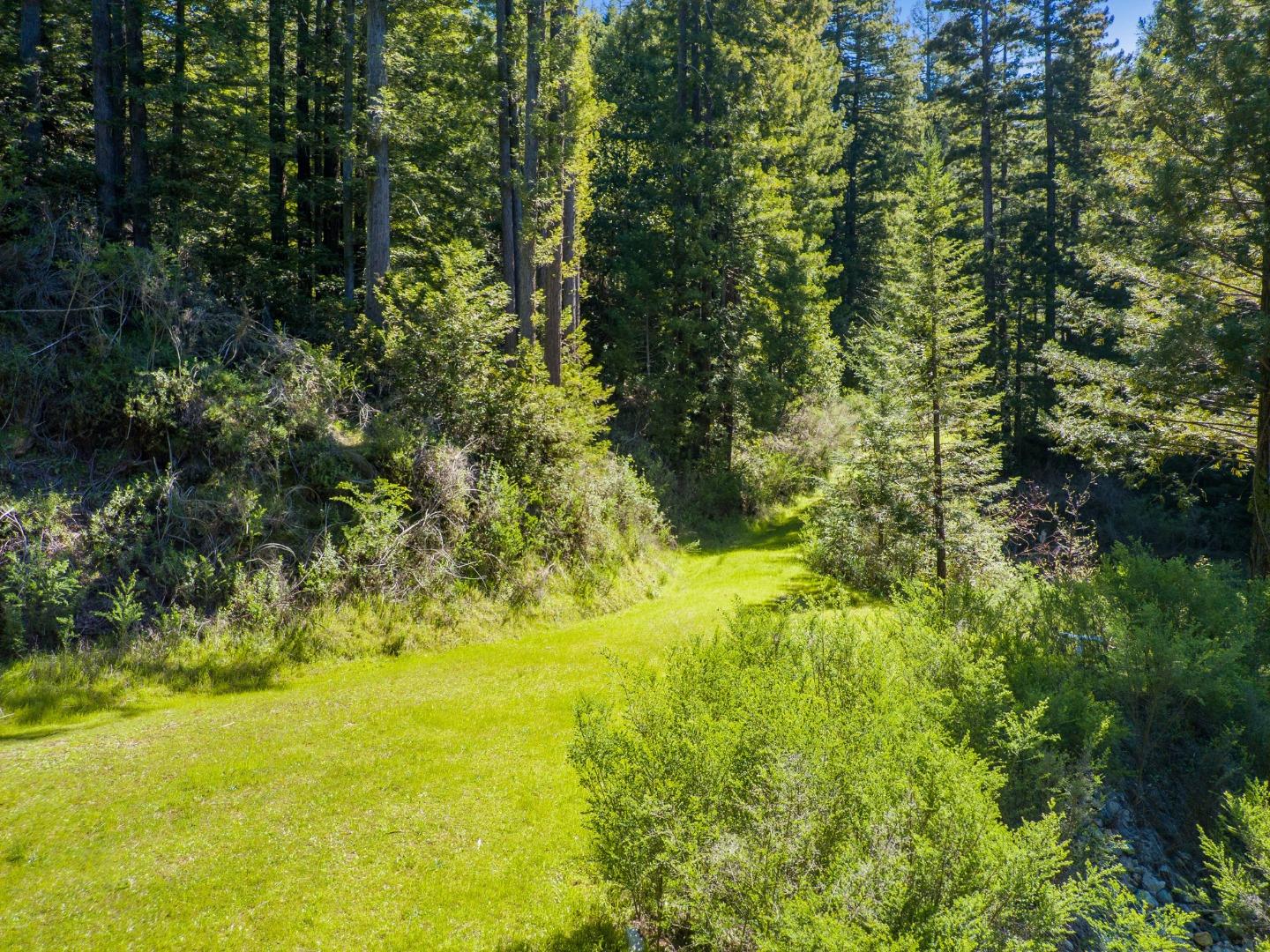 12101 Love Creek, BEN LOMOND, California 95005, ,Lots And Land,For Sale,Love Creek,40963626
