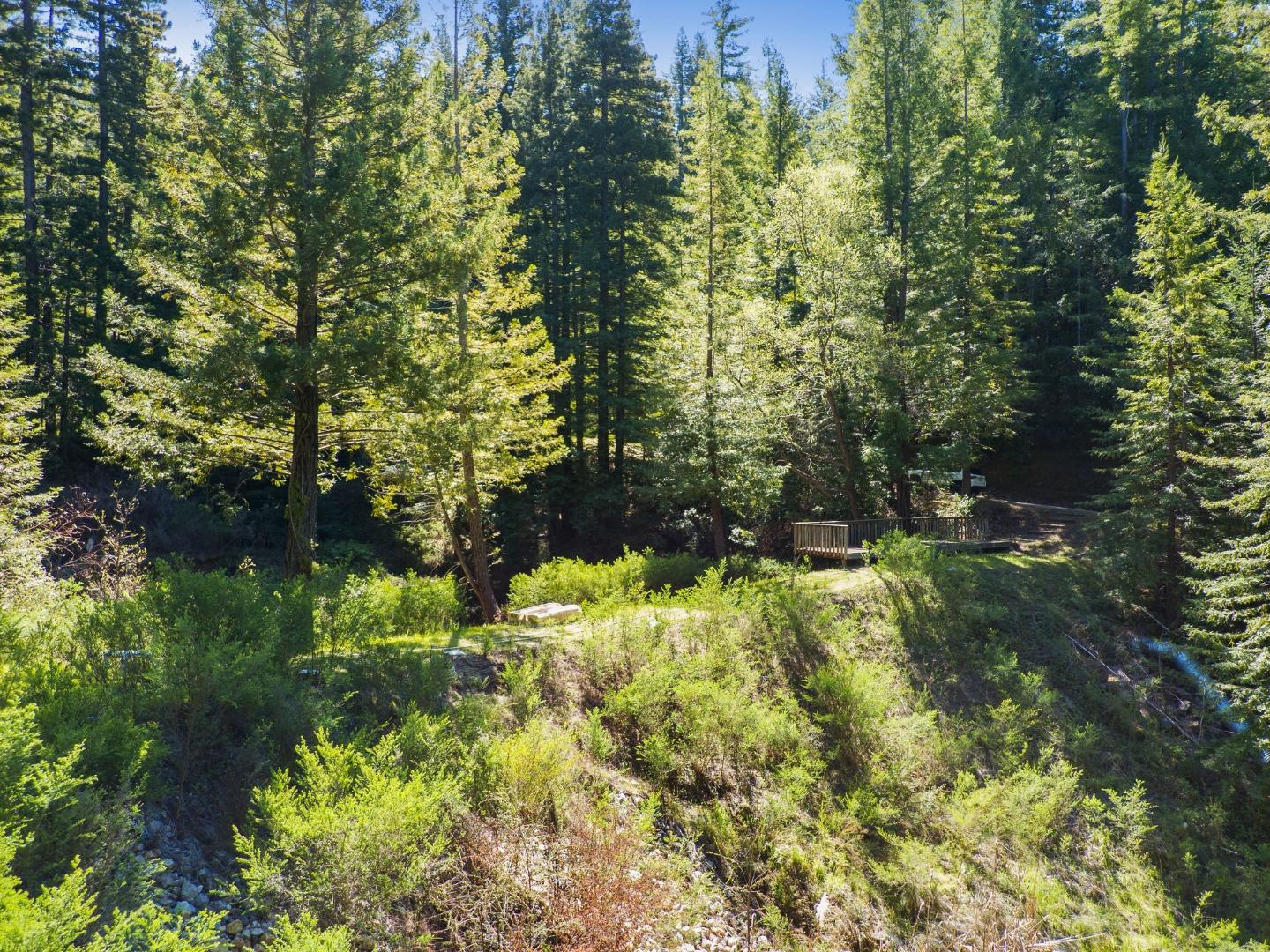 12101 Love Creek, BEN LOMOND, California 95005, ,Lots And Land,For Sale,Love Creek,40963626