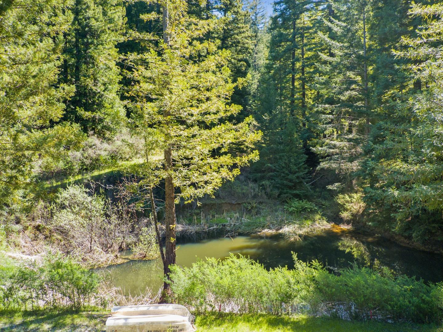 12101 Love Creek, BEN LOMOND, California 95005, ,Lots And Land,For Sale,Love Creek,40963626