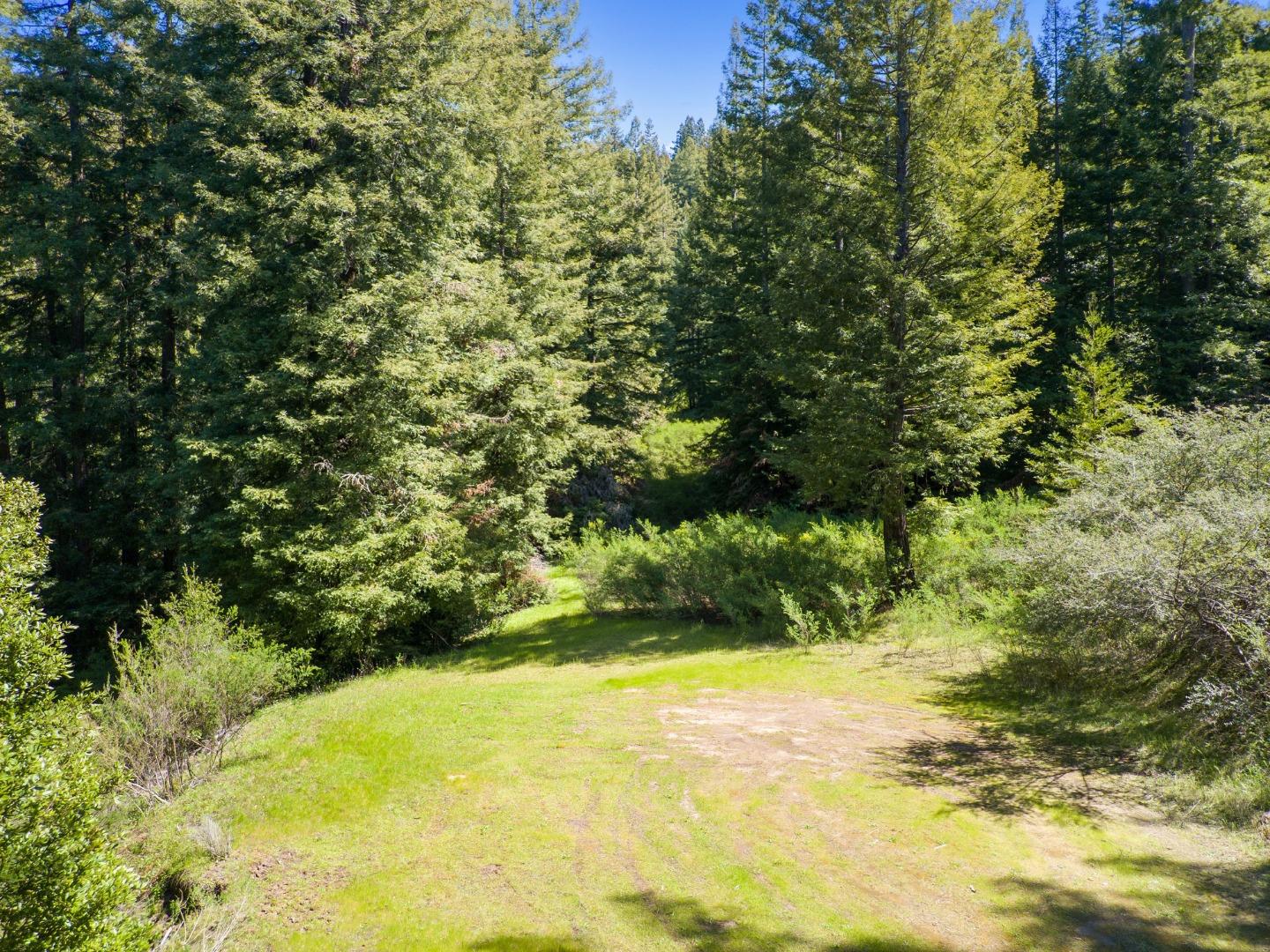 12101 Love Creek, BEN LOMOND, California 95005, ,Lots And Land,For Sale,Love Creek,40963626