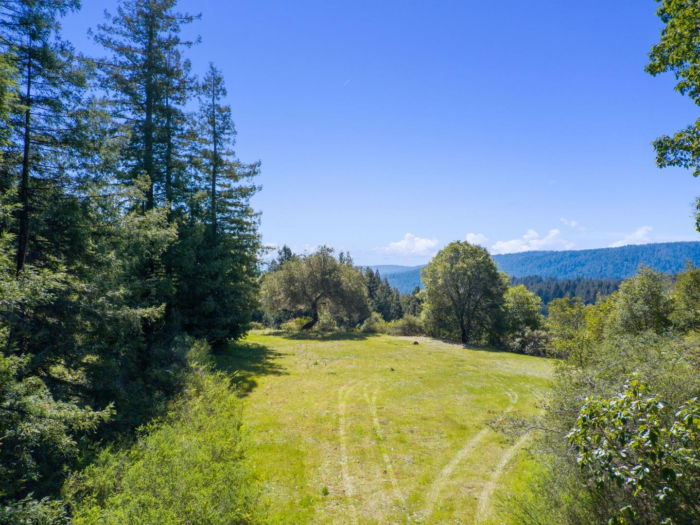 12101 Love Creek, BEN LOMOND, California 95005, ,Lots And Land,For Sale,Love Creek,40963626