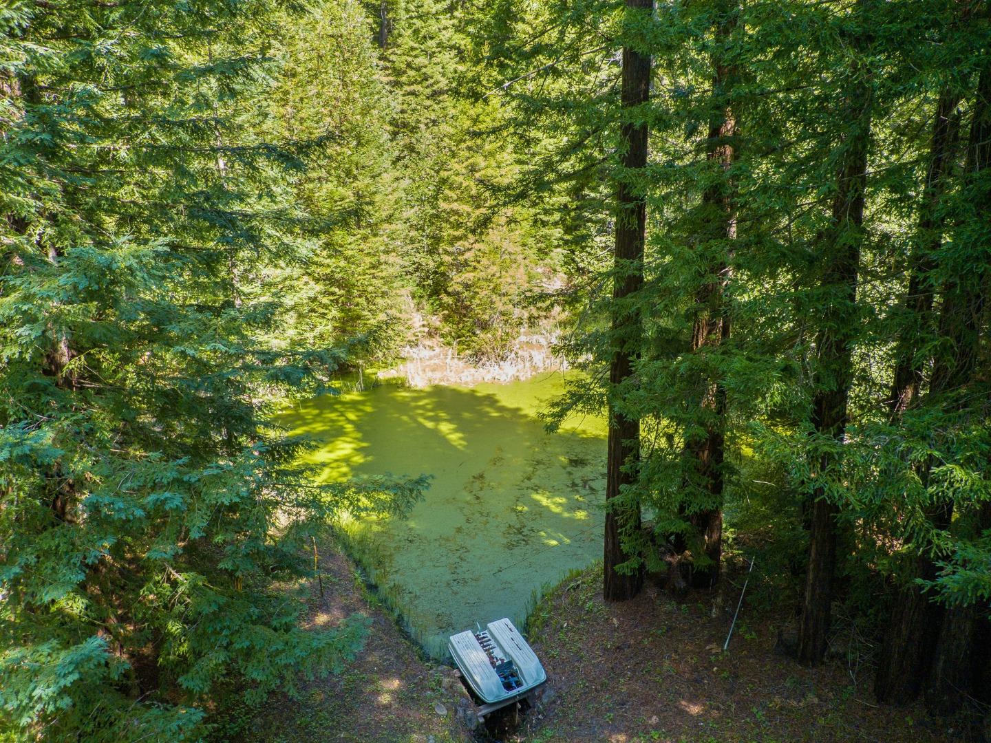 12101 Love Creek, BEN LOMOND, California 95005, ,Lots And Land,For Sale,Love Creek,40963626