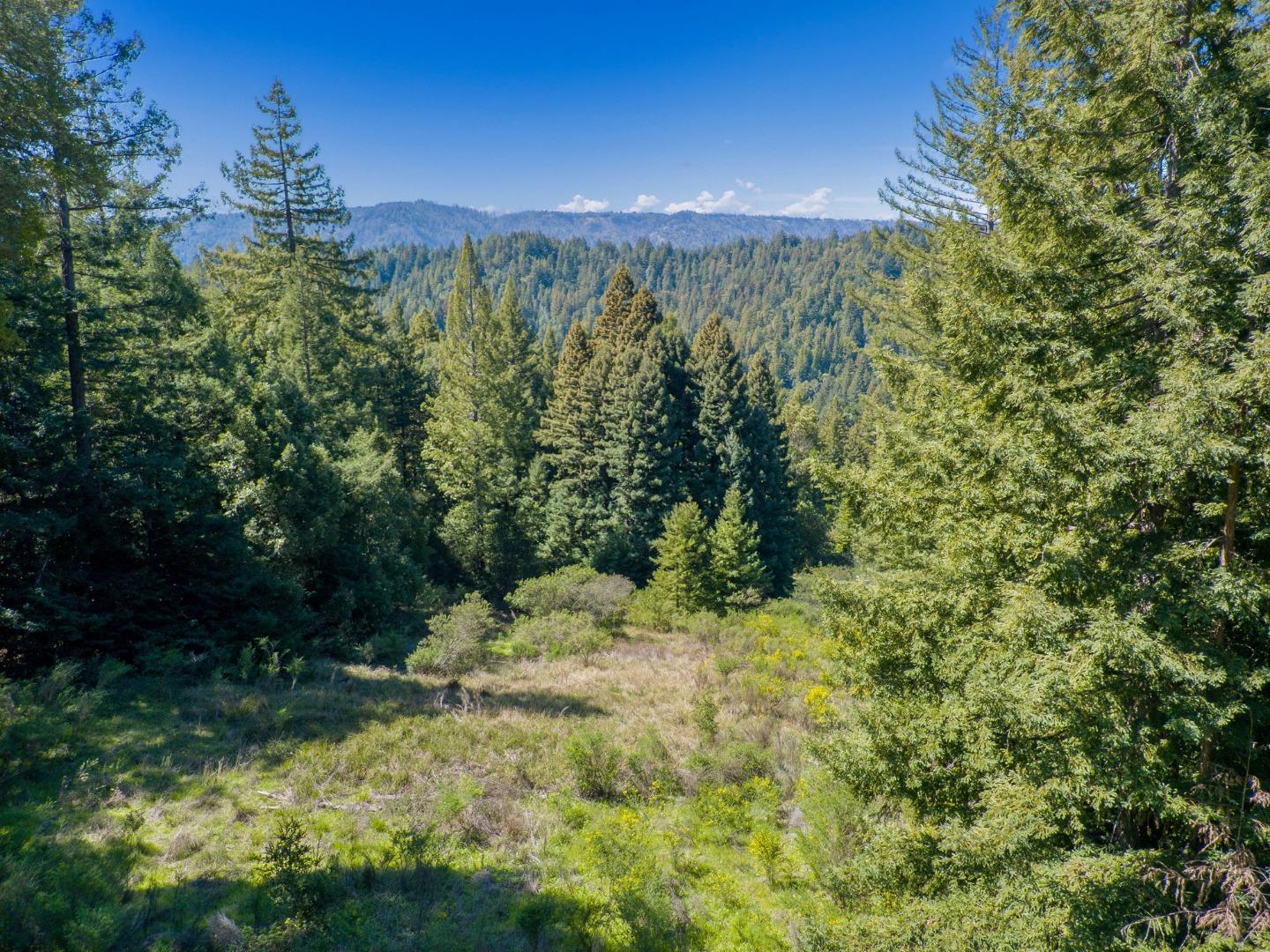 12101 Love Creek, BEN LOMOND, California 95005, ,Lots And Land,For Sale,Love Creek,40963626