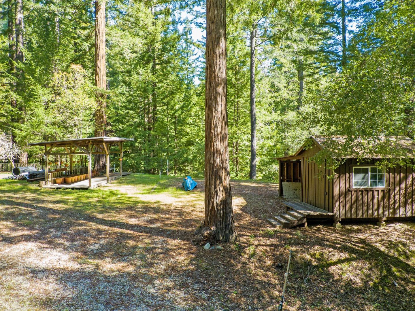 12101 Love Creek, BEN LOMOND, California 95005, ,Lots And Land,For Sale,Love Creek,40963626