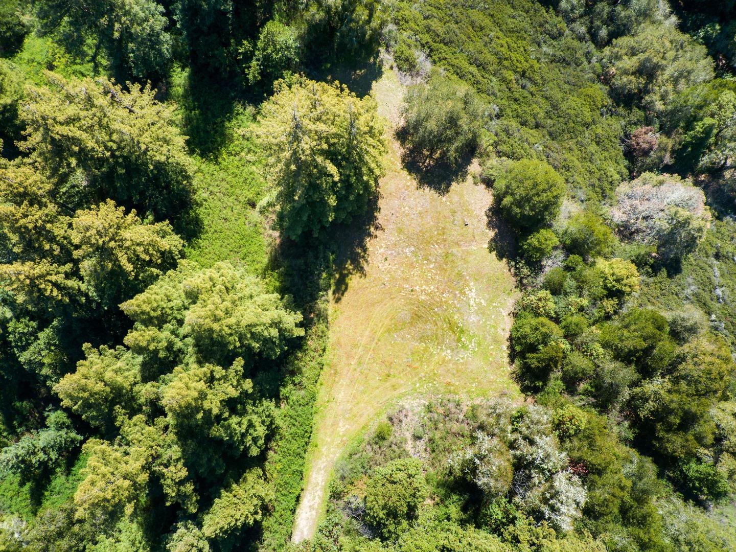 12101 Love Creek, BEN LOMOND, California 95005, ,Lots And Land,For Sale,Love Creek,40963626