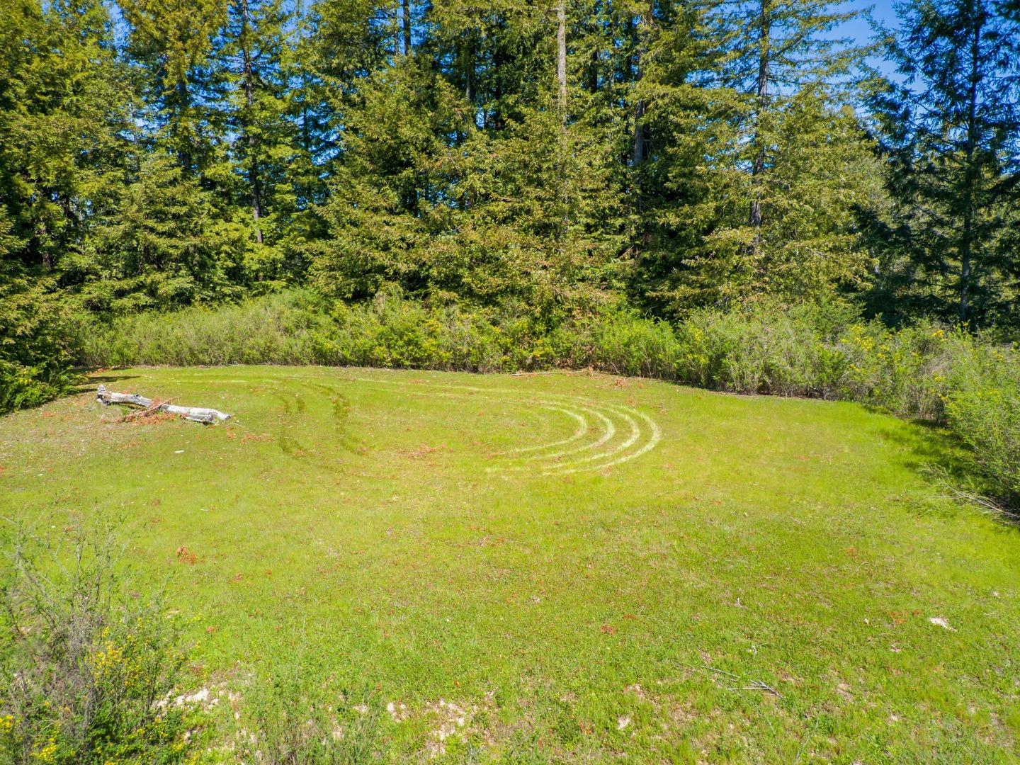 12101 Love Creek, BEN LOMOND, California 95005, ,Lots And Land,For Sale,Love Creek,40963626