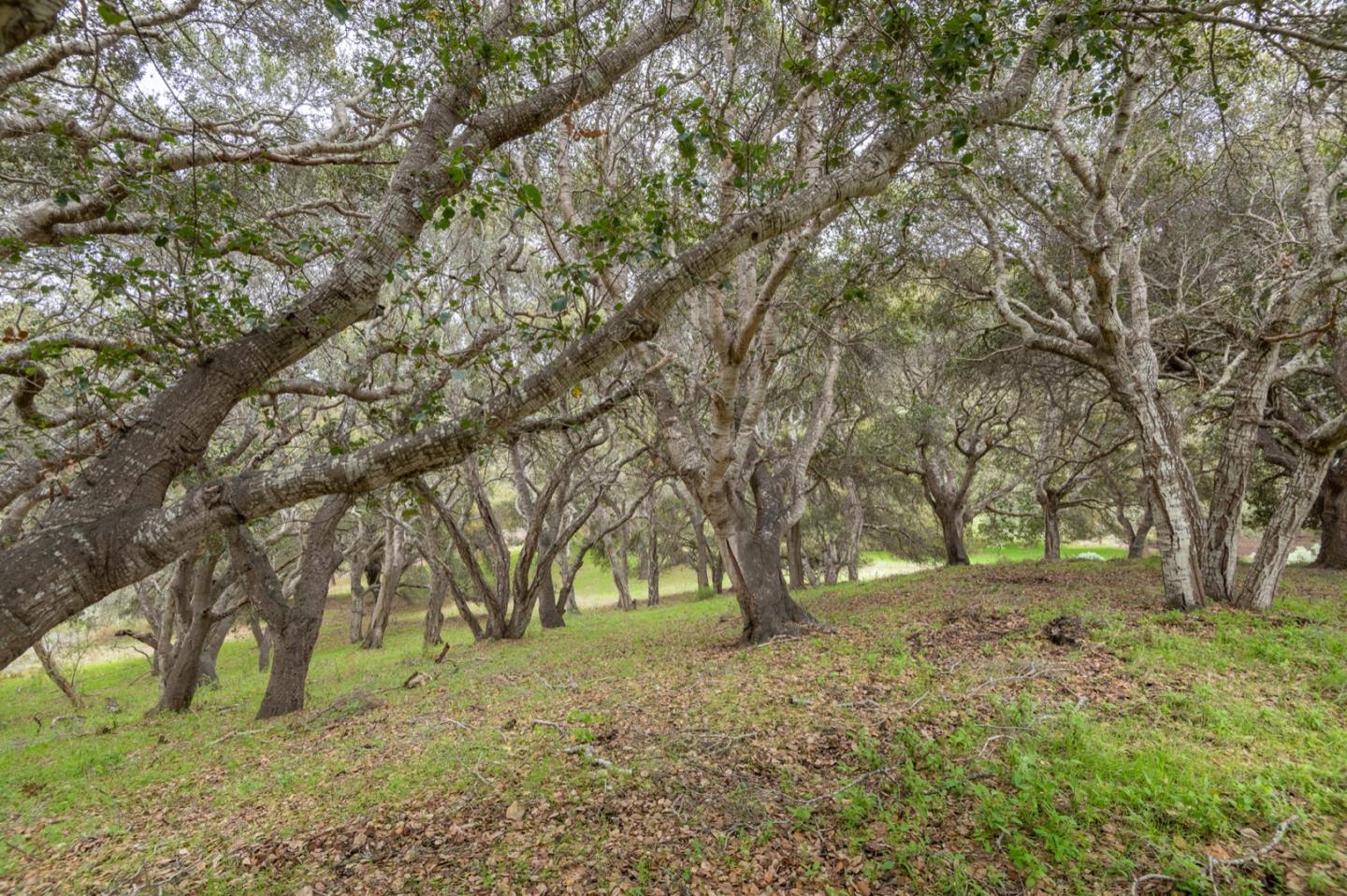 5486 Quail Meadows Drive, CARMEL, California 93923, ,Lots And Land,For Sale,Quail Meadows Drive,40963629