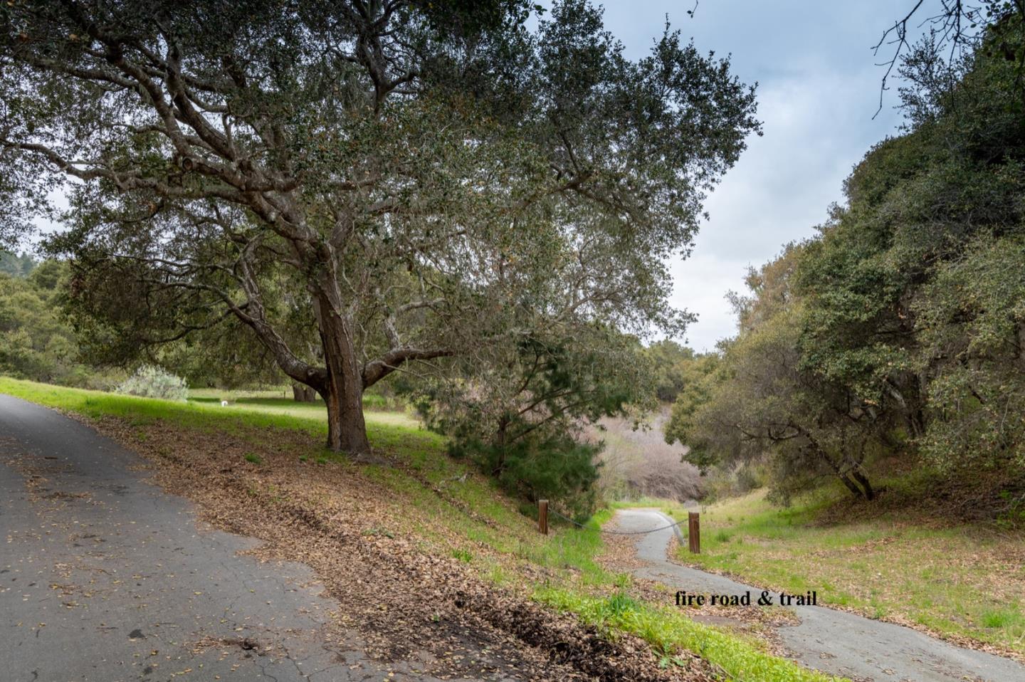 5486 Quail Meadows Drive, CARMEL, California 93923, ,Lots And Land,For Sale,Quail Meadows Drive,40963629
