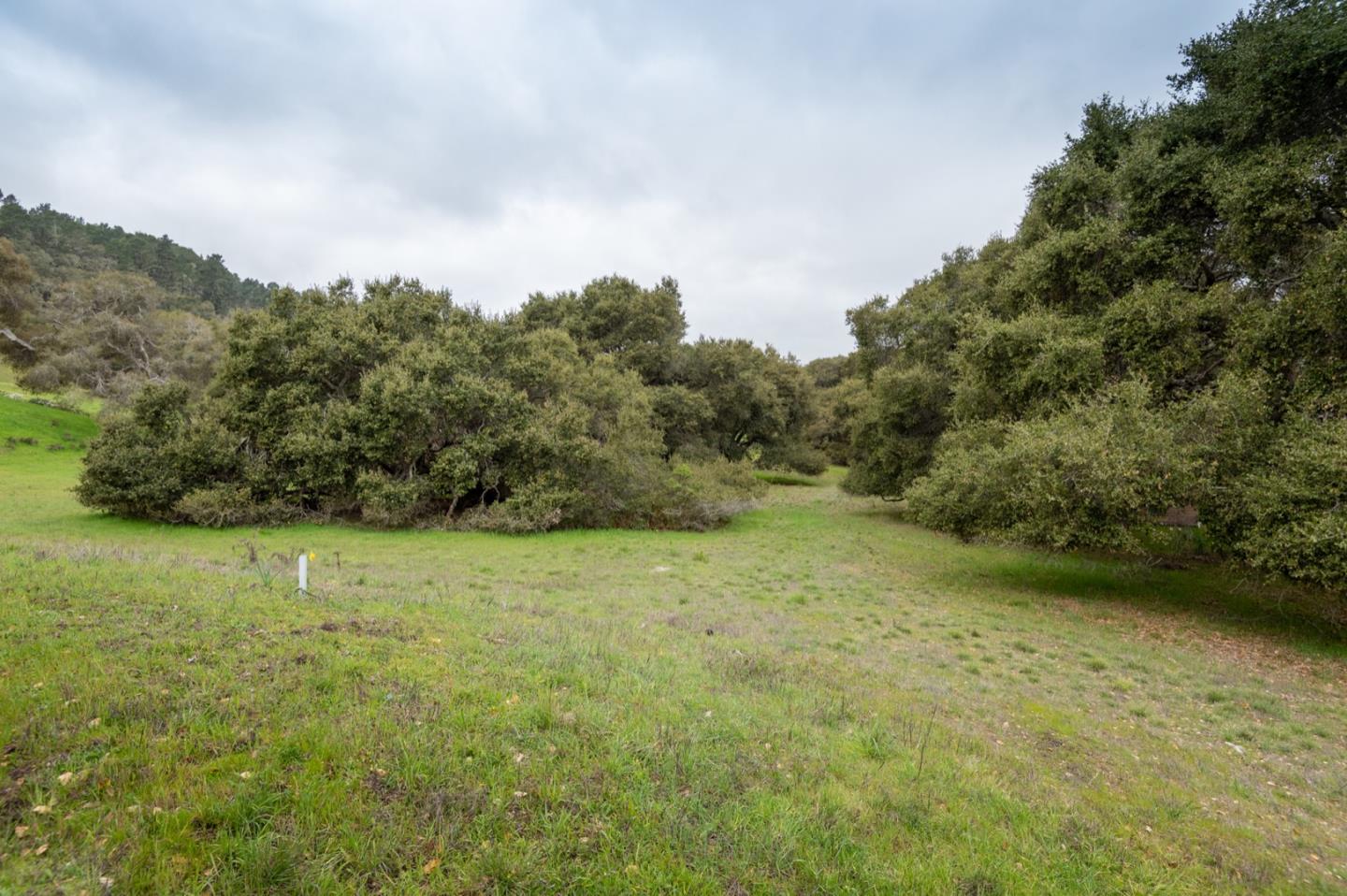 5486 Quail Meadows Drive, CARMEL, California 93923, ,Lots And Land,For Sale,Quail Meadows Drive,40963629