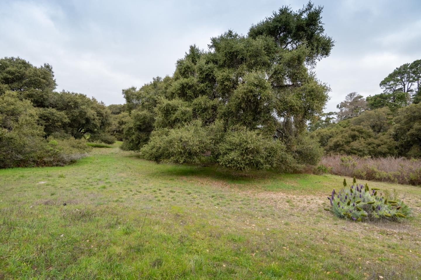 5486 Quail Meadows Drive, CARMEL, California 93923, ,Lots And Land,For Sale,Quail Meadows Drive,40963629