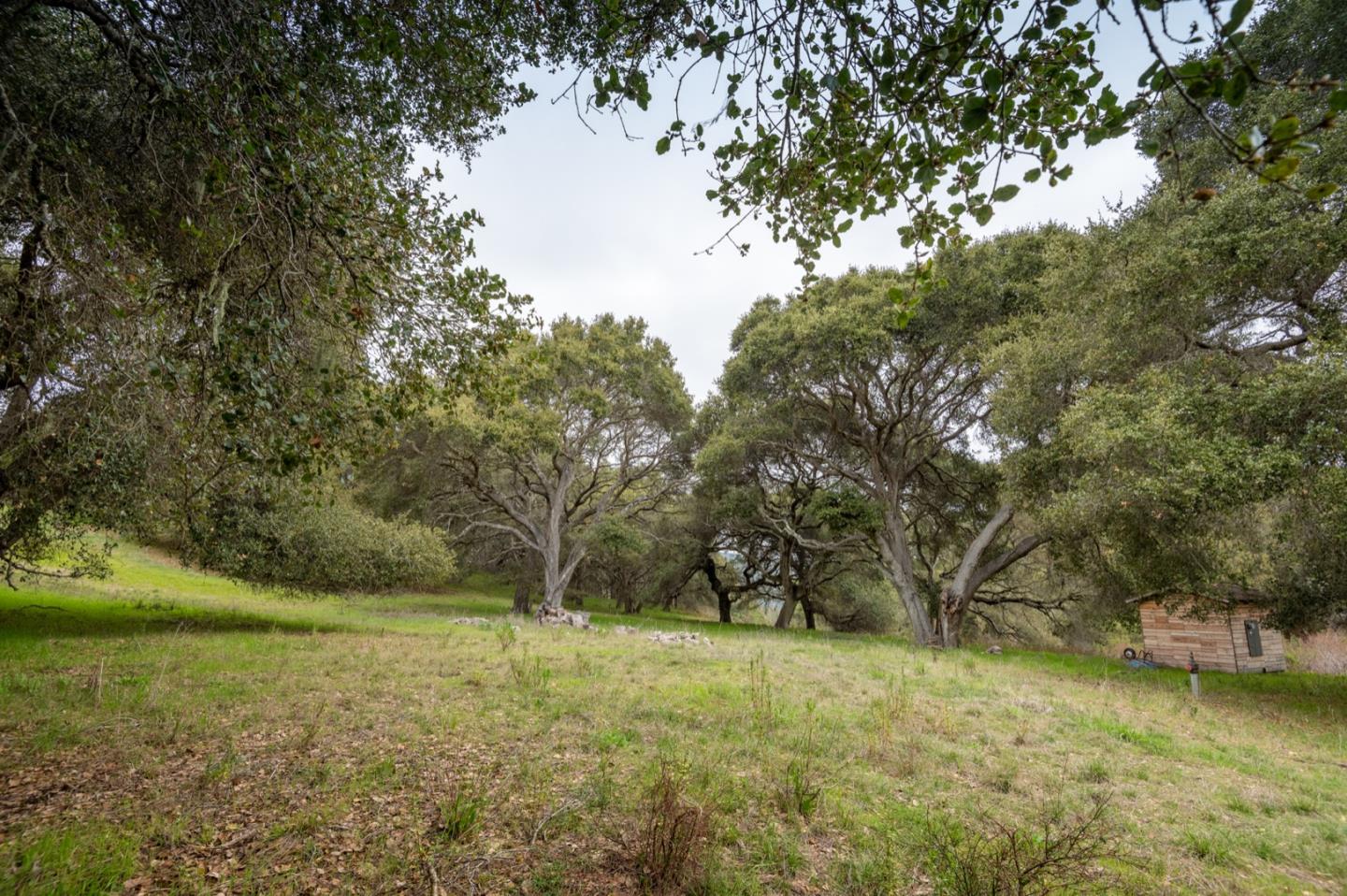 5486 Quail Meadows Drive, CARMEL, California 93923, ,Lots And Land,For Sale,Quail Meadows Drive,40963629