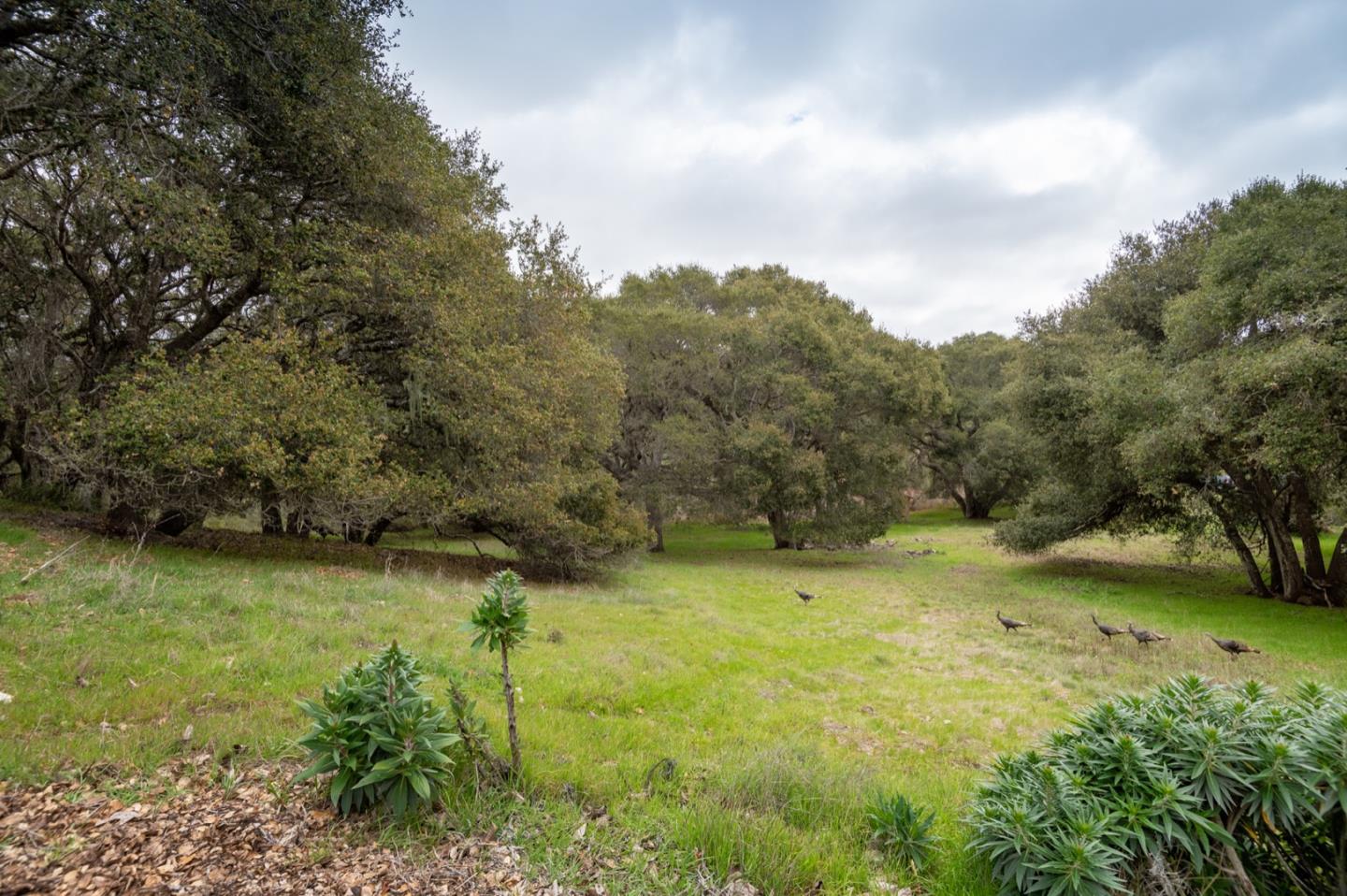 5486 Quail Meadows Drive, CARMEL, California 93923, ,Lots And Land,For Sale,Quail Meadows Drive,40963629