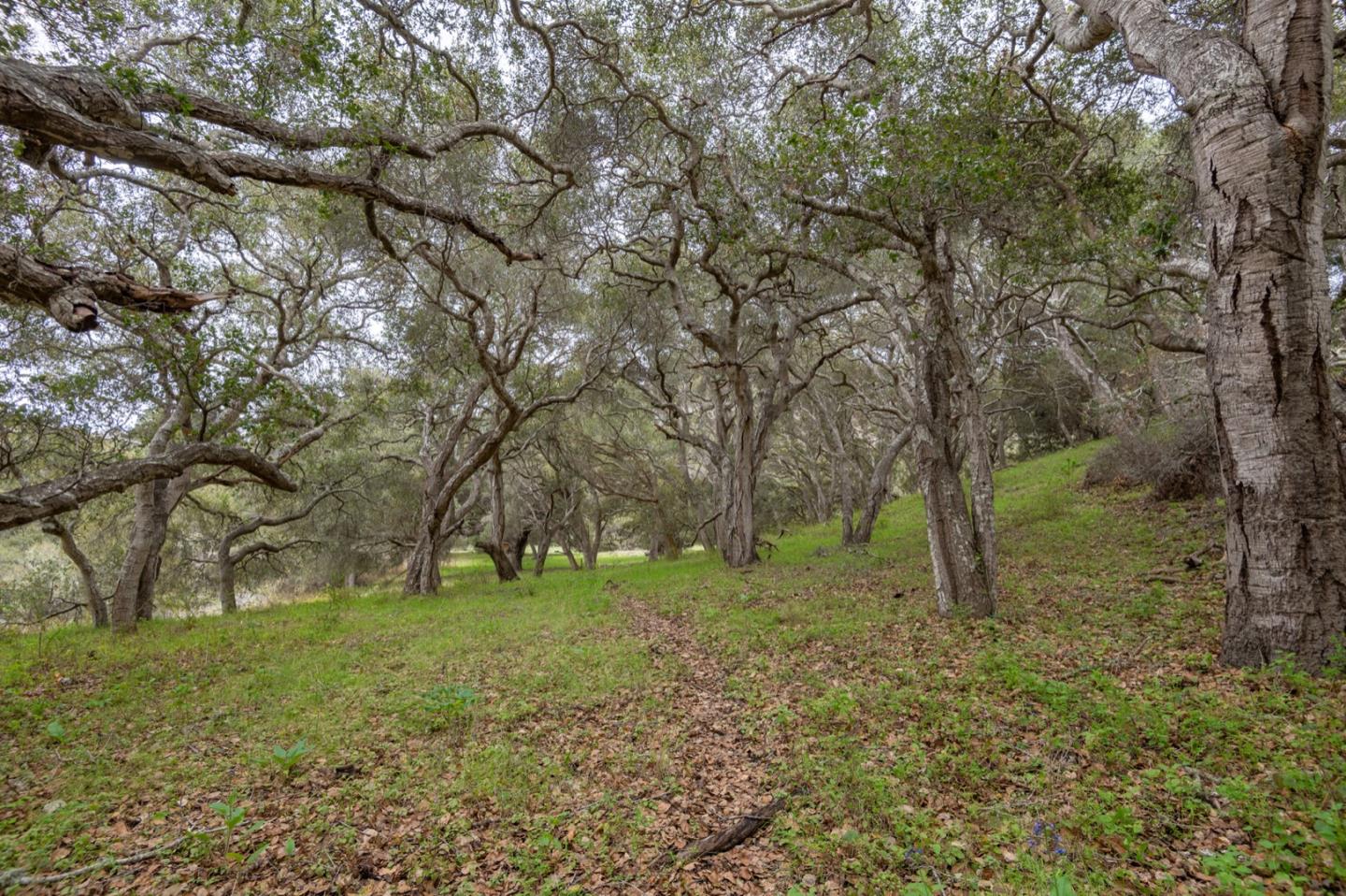 5486 Quail Meadows Drive, CARMEL, California 93923, ,Lots And Land,For Sale,Quail Meadows Drive,40963629