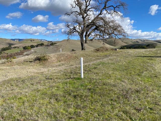 529 Vista Ridge Drive, MILPITAS, California 95035, ,Lots And Land,For Sale,Vista Ridge Drive,40963682
