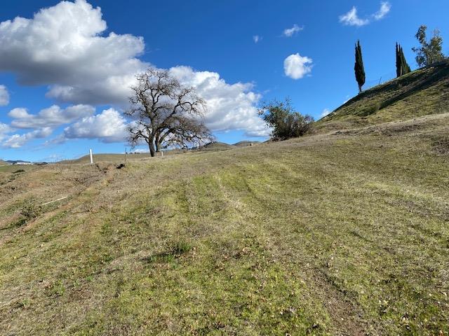529 Vista Ridge Drive, MILPITAS, California 95035, ,Lots And Land,For Sale,Vista Ridge Drive,40963682
