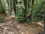 18400 Hwy.9, BOULDER CREEK, California 95006, ,Lots And Land,For Sale,Hwy.9,40963684