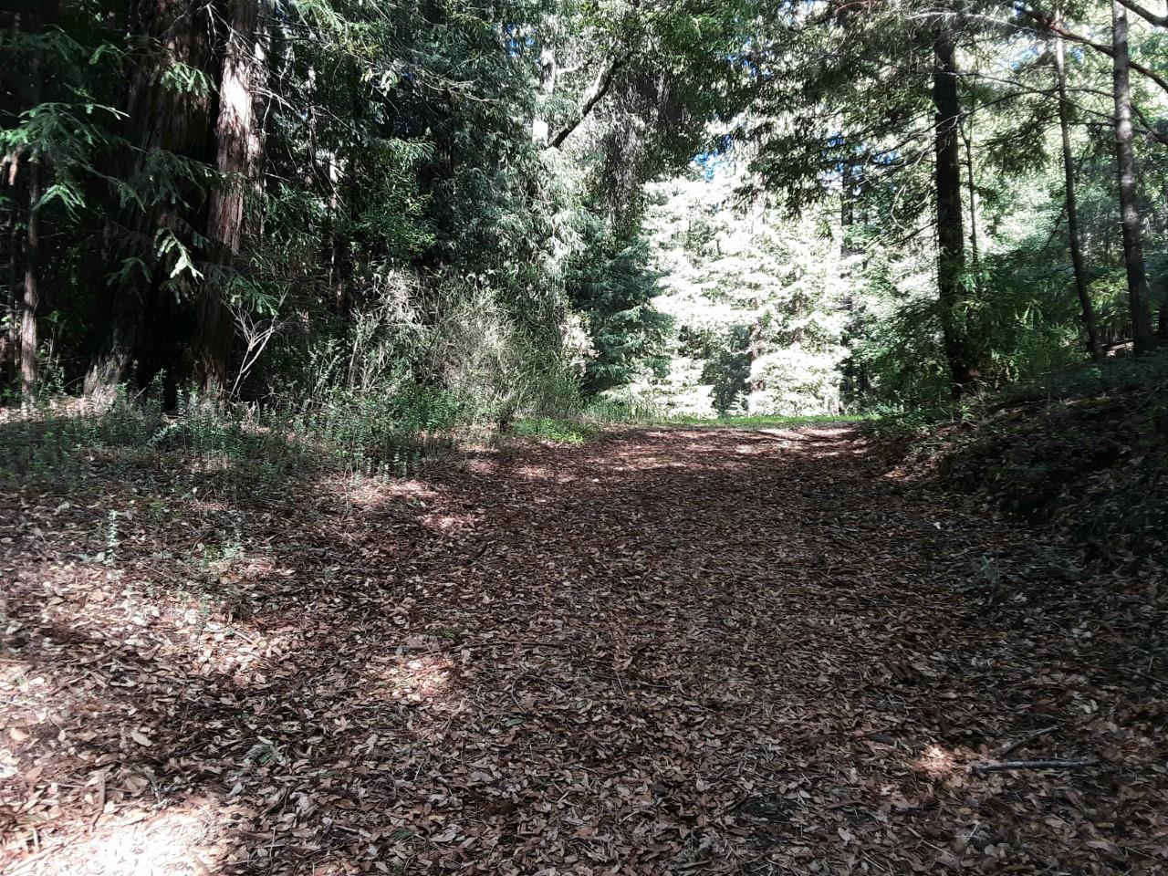 18400 Hwy.9, BOULDER CREEK, California 95006, ,Lots And Land,For Sale,Hwy.9,40963684