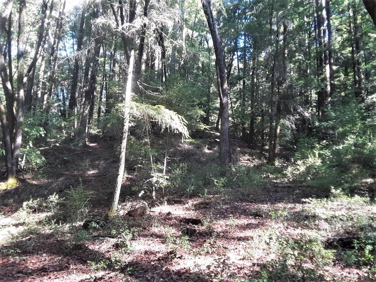 18400 Hwy.9, BOULDER CREEK, California 95006, ,Lots And Land,For Sale,Hwy.9,40963684