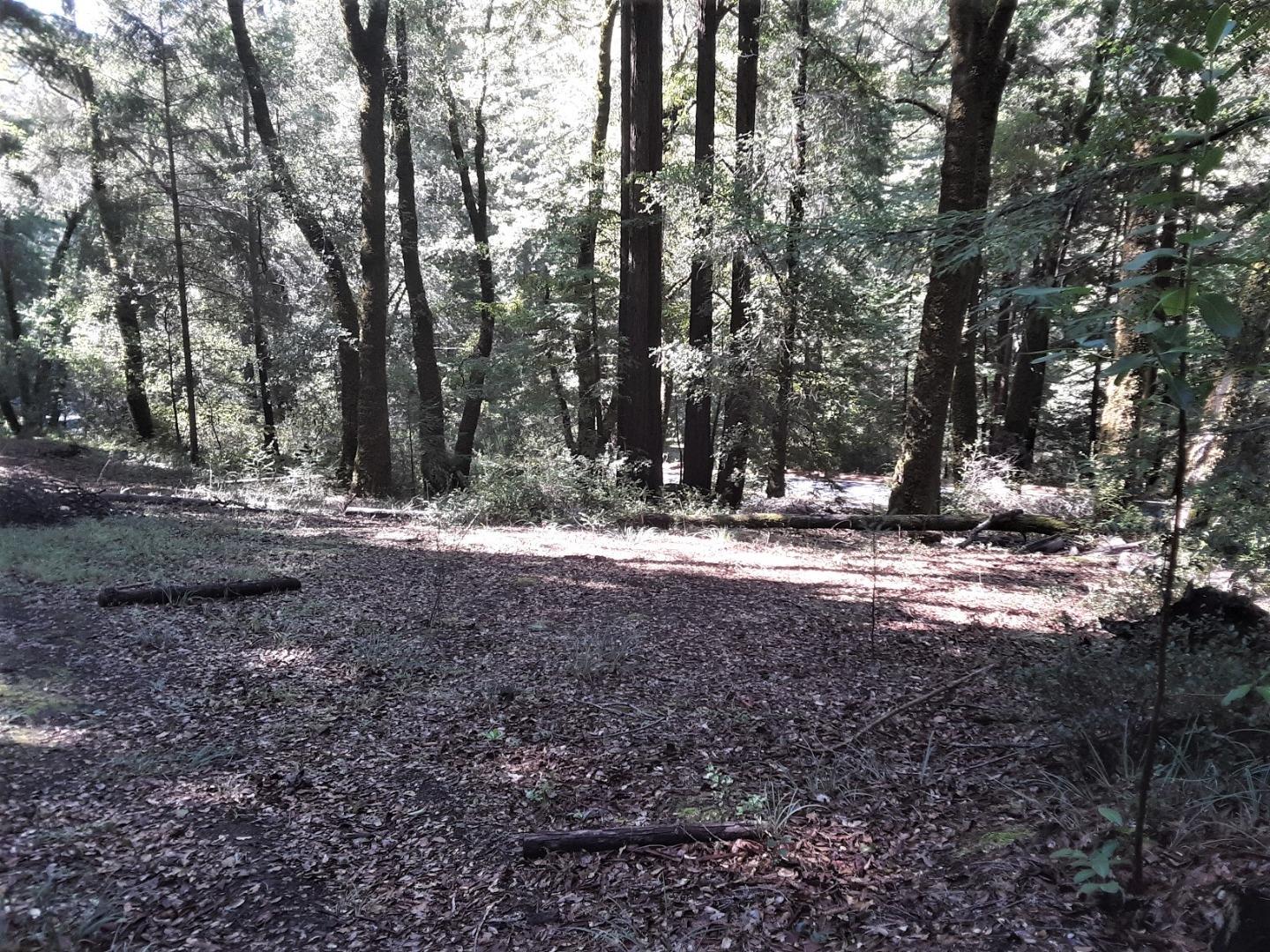 18400 Hwy.9, BOULDER CREEK, California 95006, ,Lots And Land,For Sale,Hwy.9,40963684