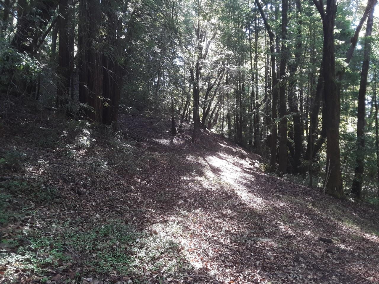 18400 Hwy.9, BOULDER CREEK, California 95006, ,Lots And Land,For Sale,Hwy.9,40963684