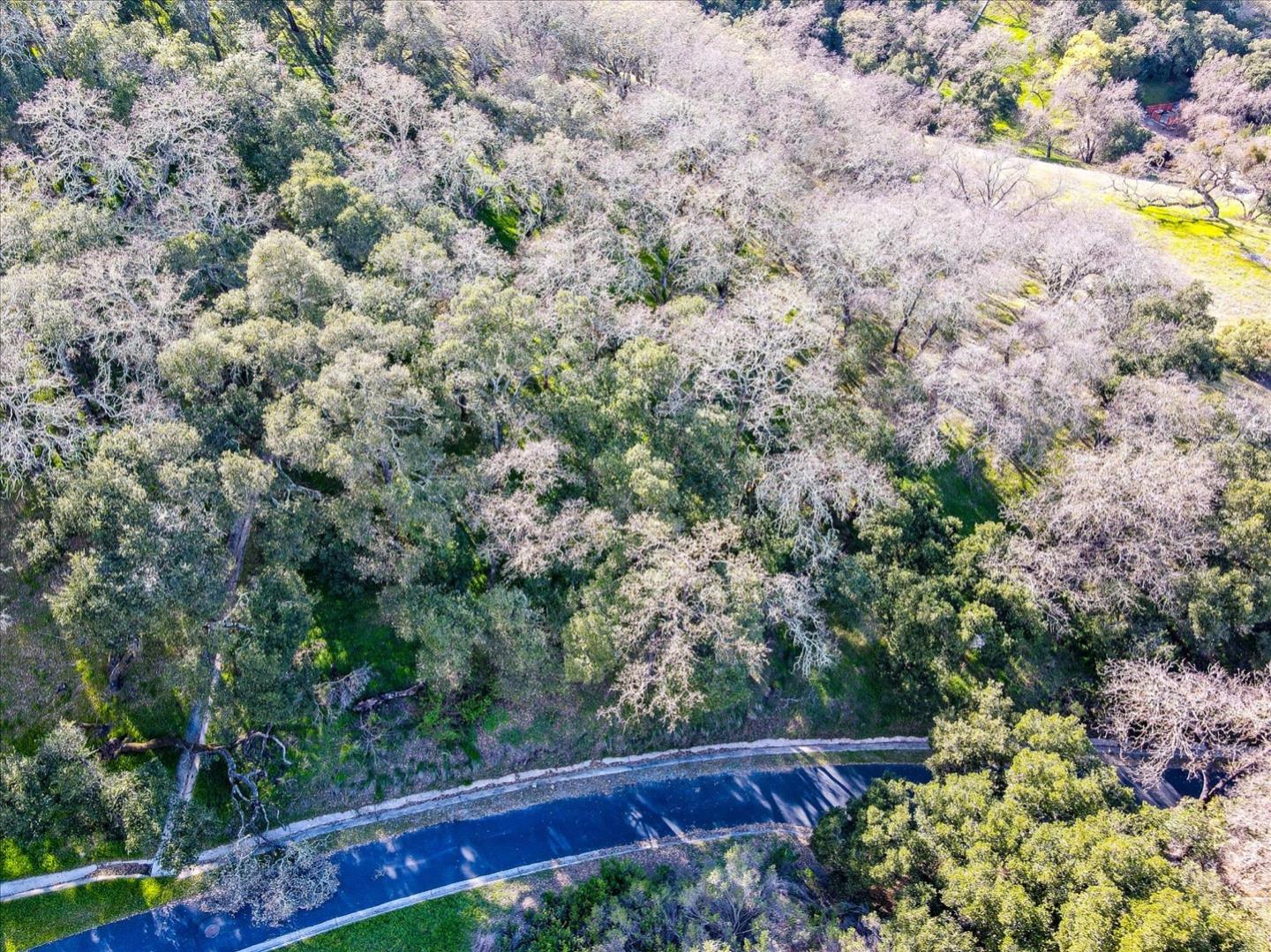 2355 Rockwood Ranch Road, MORGAN HILL, California 95037, ,Lots And Land,For Sale,Rockwood Ranch Road,40963692