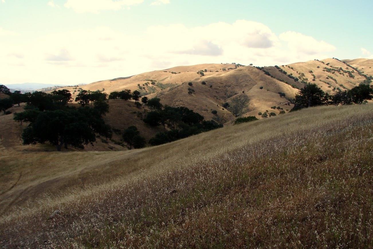 0 Willow Springs Ranch, PAICINES, California 95043, ,Lots And Land,For Sale,Willow Springs Ranch,40963703