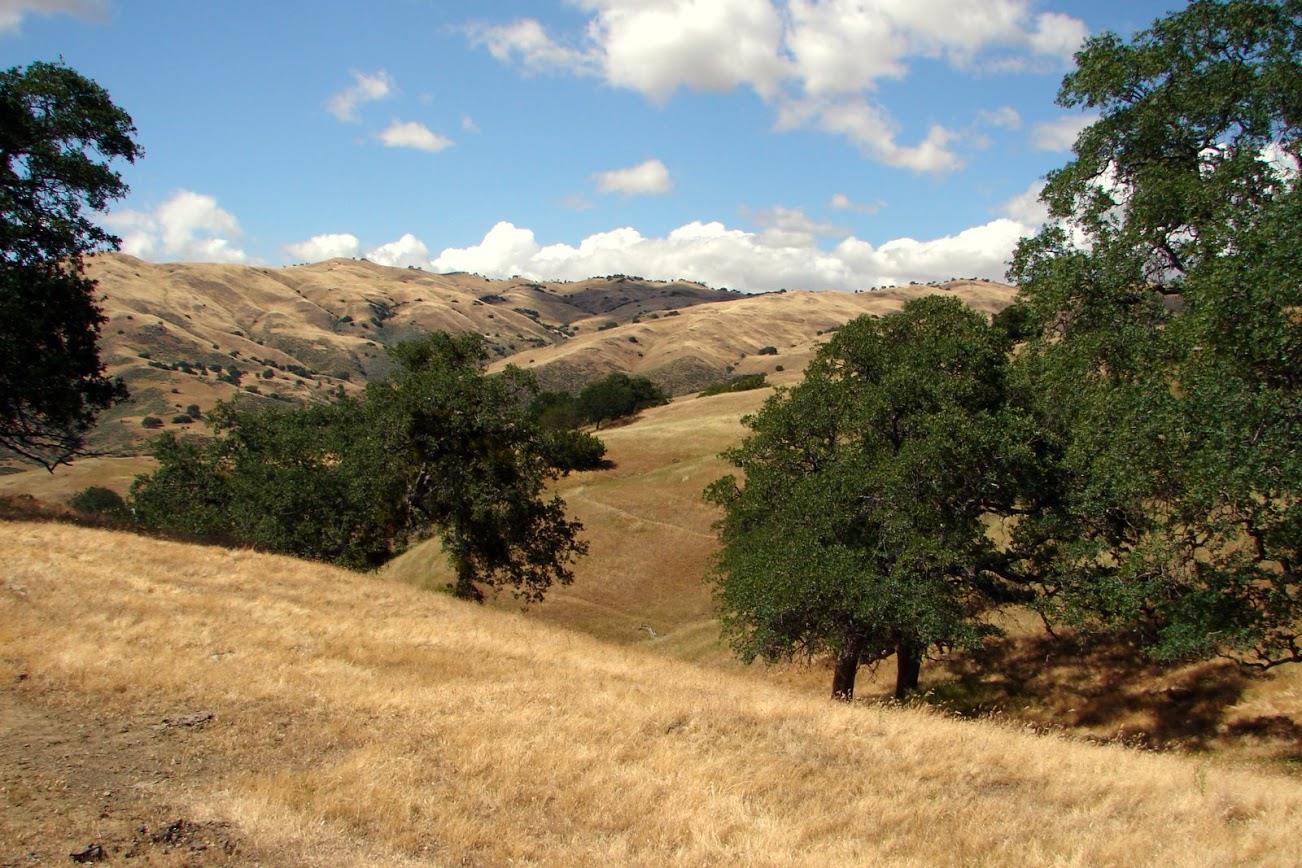 0 Willow Springs Ranch, PAICINES, California 95043, ,Lots And Land,For Sale,Willow Springs Ranch,40963703