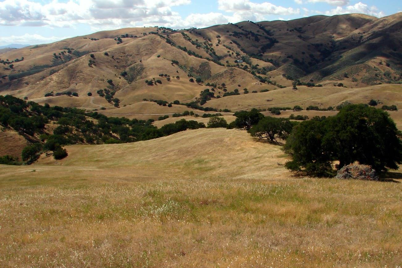 0 Willow Springs Ranch, PAICINES, California 95043, ,Lots And Land,For Sale,Willow Springs Ranch,40963703