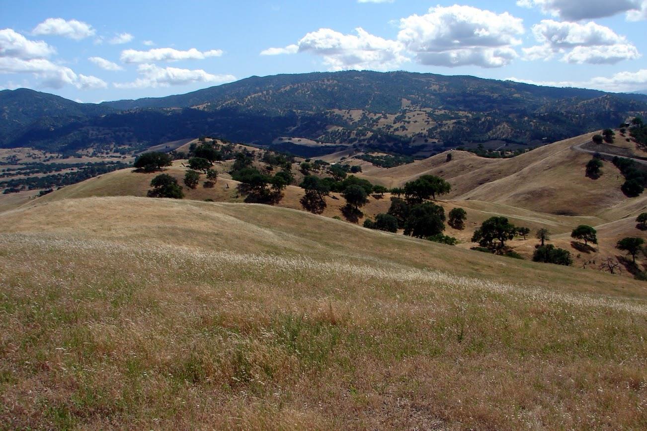 0 Willow Springs Ranch, PAICINES, California 95043, ,Lots And Land,For Sale,Willow Springs Ranch,40963703