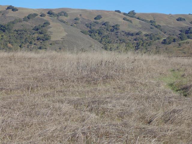 00 Vista Ct, GILROY, California 95020, ,Lots And Land,For Sale,Vista Ct,40963711
