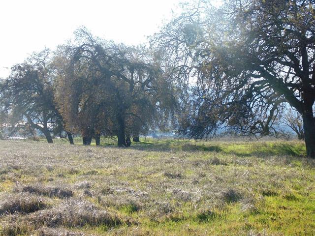 00 Vista Ct, GILROY, California 95020, ,Lots And Land,For Sale,Vista Ct,40963711