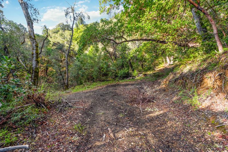 17480 Two Bar Road, BOULDER CREEK, California 95006, ,Lots And Land,For Sale,Two Bar Road,40963716