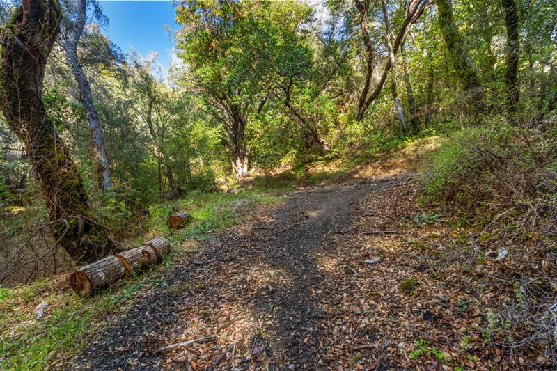 17480 Two Bar Road, BOULDER CREEK, California 95006, ,Lots And Land,For Sale,Two Bar Road,40963716