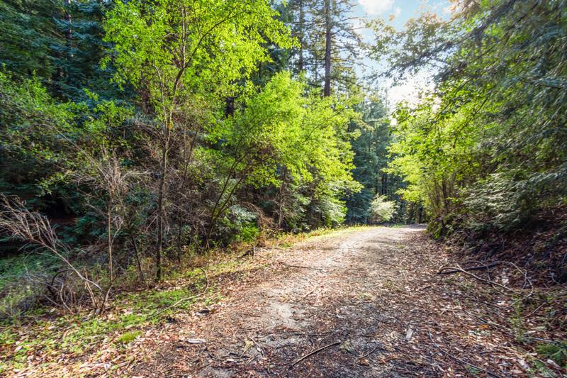 17480 Two Bar Road, BOULDER CREEK, California 95006, ,Lots And Land,For Sale,Two Bar Road,40963716