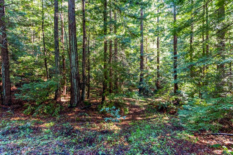 17480 Two Bar Road, BOULDER CREEK, California 95006, ,Lots And Land,For Sale,Two Bar Road,40963716