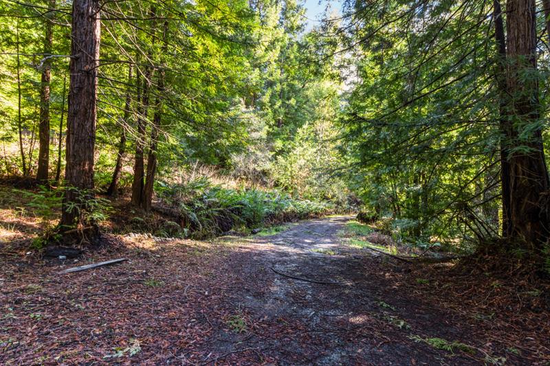 17480 Two Bar Road, BOULDER CREEK, California 95006, ,Lots And Land,For Sale,Two Bar Road,40963716